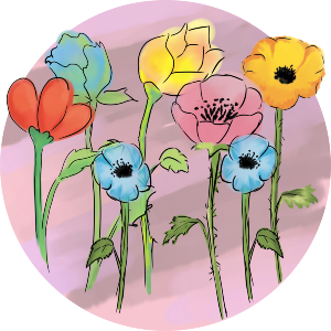 Selection Of Wildflowers
