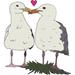 Kissing Seagulls 