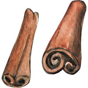 Cinnamon Sticks