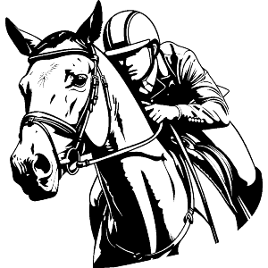 Horse Rider