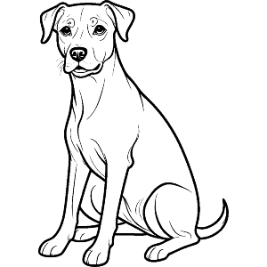 Dog Line Art