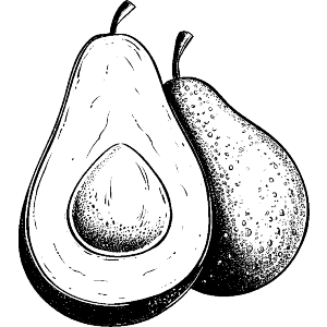 Avocado