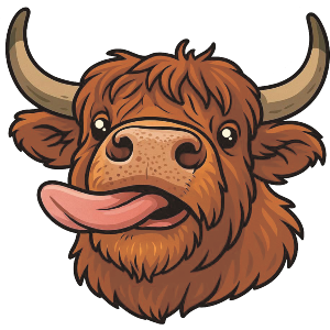 Highland Cow with Tongue Sticking Out