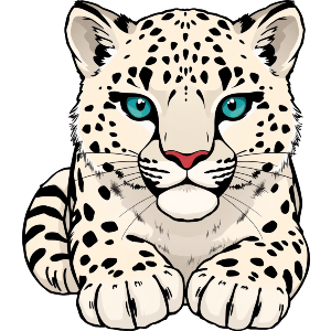 Snow Leopard