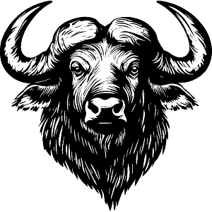 African Buffalo Head
