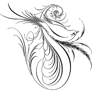 Calligraphy Bird Of Paradise