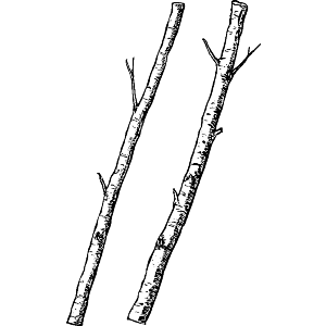 Two Sticks