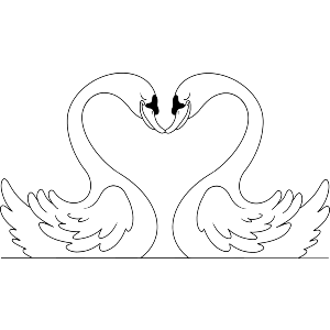 Swans In Love