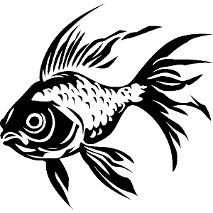 Goldfish Side View