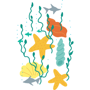 Life In The Ocean 