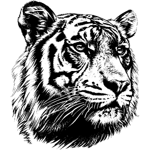 Tiger Head