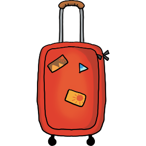 Travel Bag