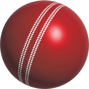 Cricket Ball