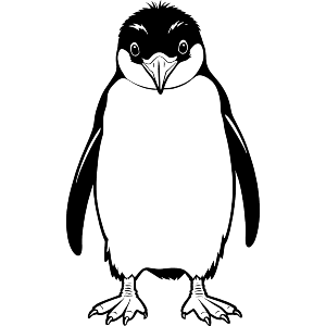 Southern Rockhopper Penguin