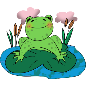 Frog On A Lily Pad