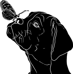 Boxer Dog & Butterfly Silhouette