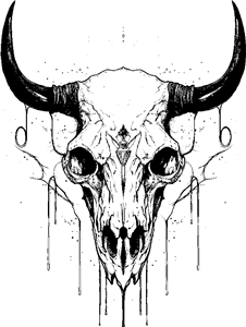 Bull Skull