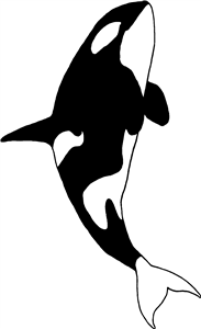 Killer Whale