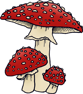 Fly Agaric