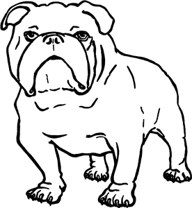 Bulldog