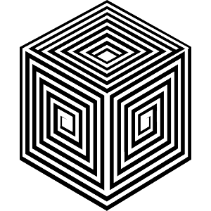 Illusion Cube