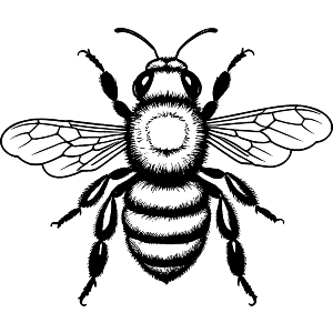 Bumble Bee