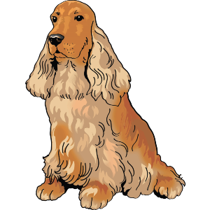 Dog Cocker Spaniel