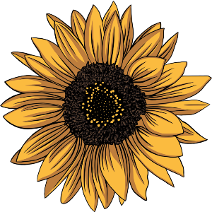 Yellow Sunflower