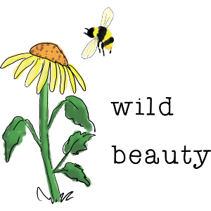 Daisy And Honeybee