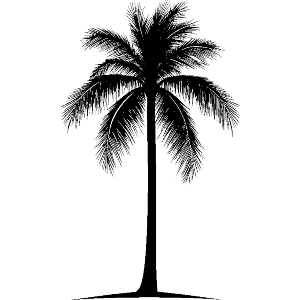 Palm Tree Silhouette
