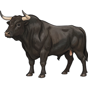 Powerful Bull