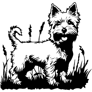 Happy Westie in Garden