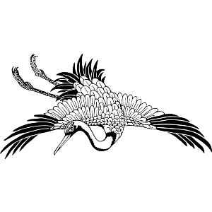 Japanese Crane Bird