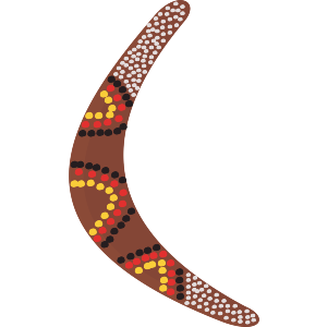 Decorative Boomerang