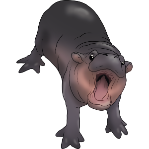 Angry Pygmy Hippo