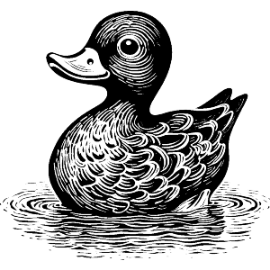 Cute Duck 