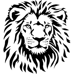 Lion Portrait