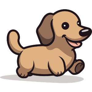 Dachshund 