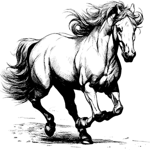 horse