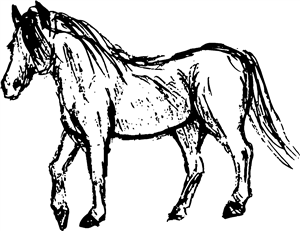 Horse