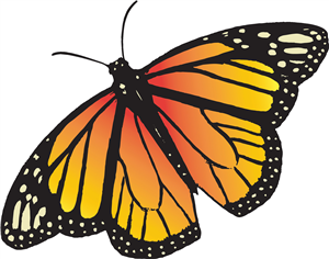 Monarch Butterfly