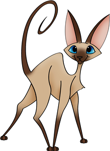 Siamese Cat