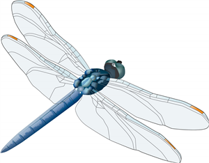 Dragonfly