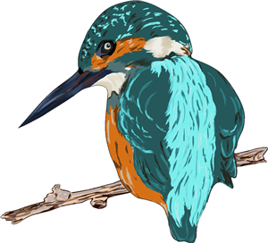 Perched Kingfisher