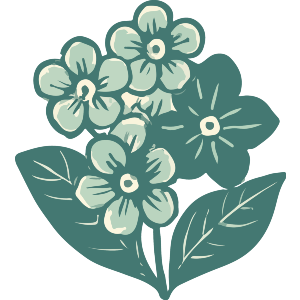 Forget Me Not Flowers