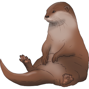 Chubby Otter