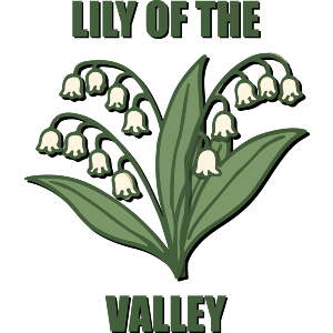Lily of the Valley Flower