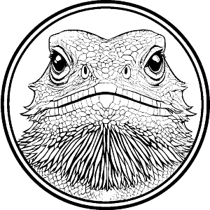 Bearded Dragon in Circle Frame