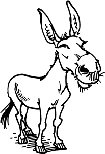 Donkey