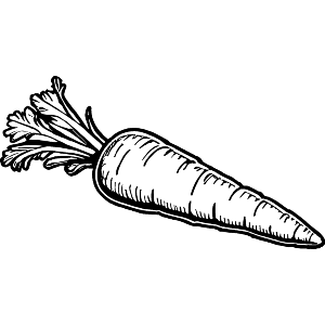 Garden Carrot